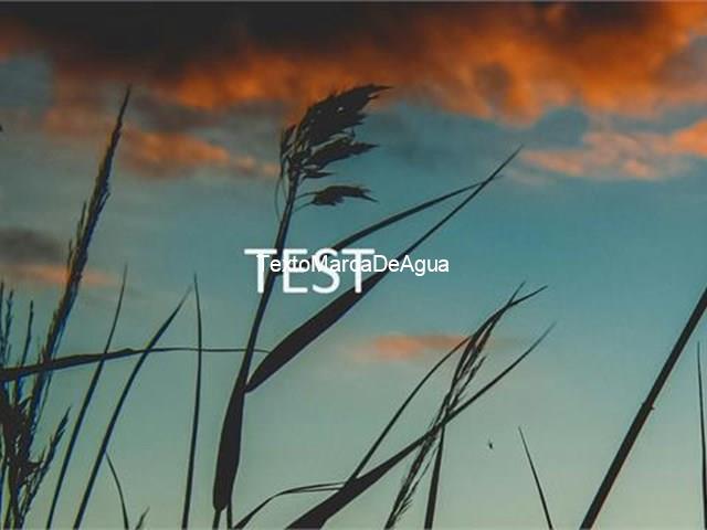 Añadir inmueble 1 - Boimorto